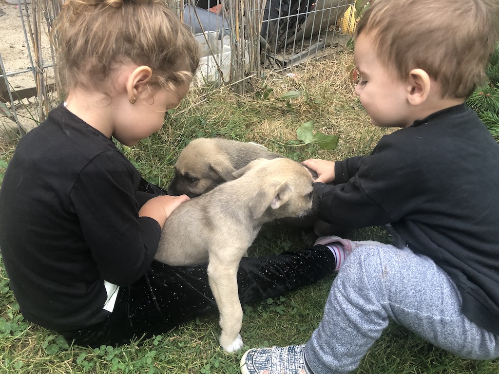 Amy & Eric playing with some recued puppies, years ago